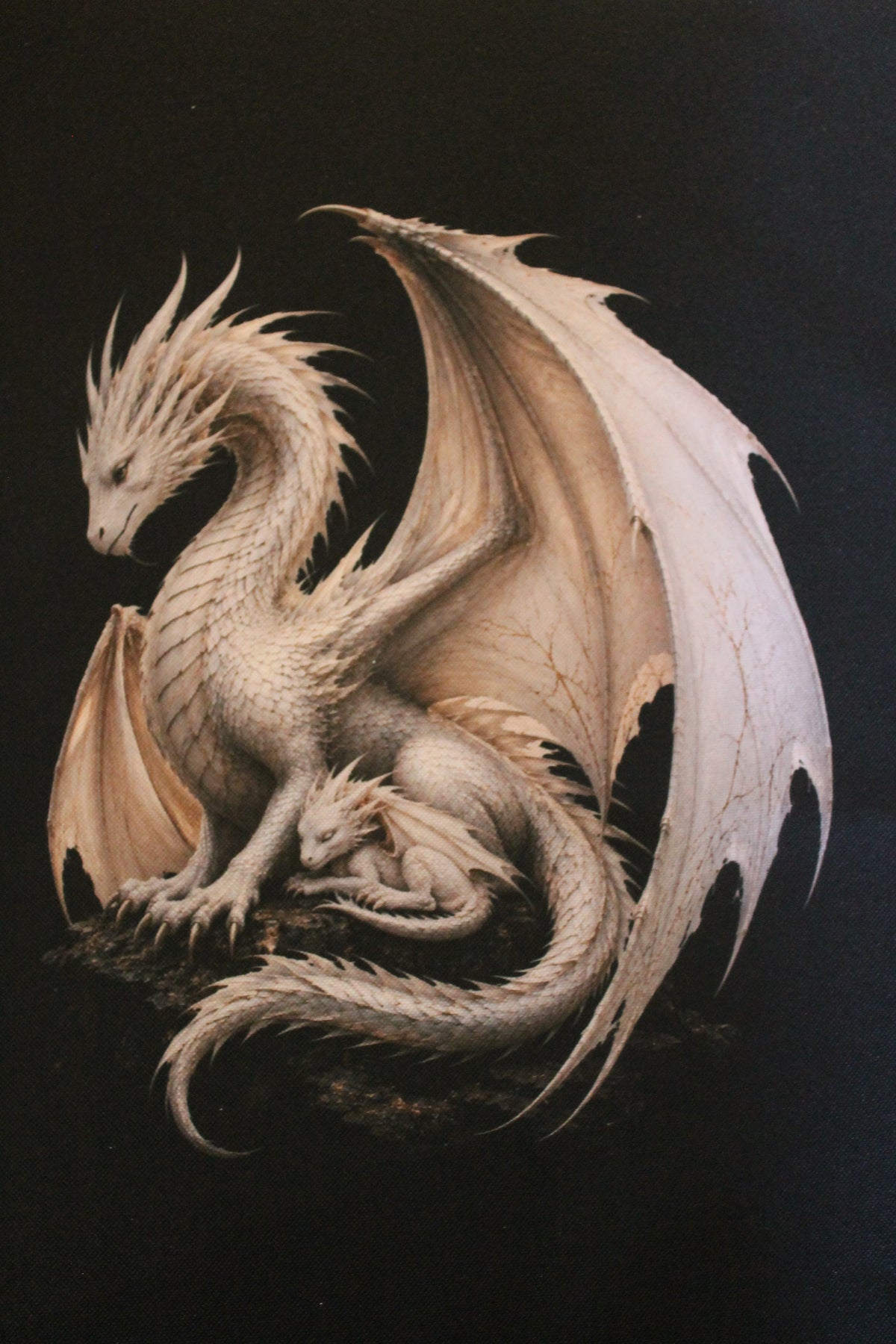 Drache mit Baby